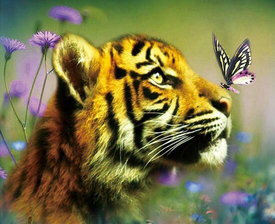Алмазная мозаика частичная выкладка 21x25 Молодой тигр с бабочкой на носу