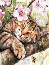 Без бренда «Волосатый котик спит на ветви яблони» в Санкт-Петербурге в интернет-магазине в Санкт-Петербурге Без бренда «Волосатый котик спит на ветви яблони» в Санкт-Петербурге