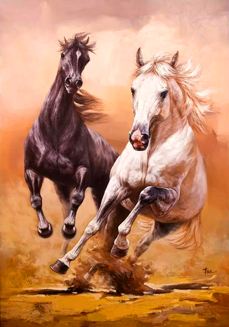 Алмазная мозаика 40x50 Гонка чёрной и белой лошади