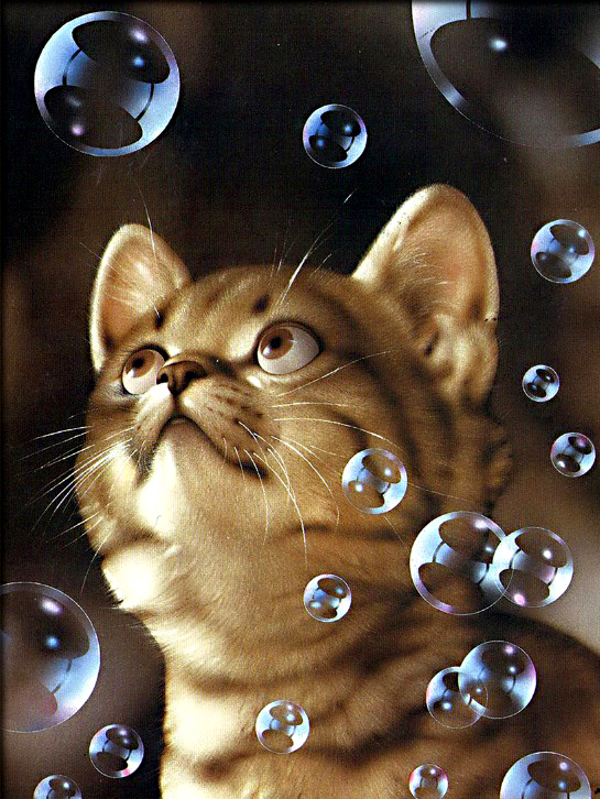 Алмазная мозаика 40x50 Полосатый котёнок и мыльные пузыри