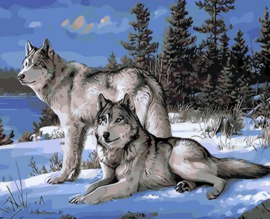 Картина по номерам 30x40 Пушистые волки в зимнем лесу