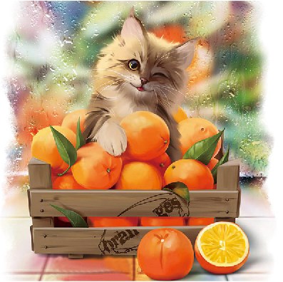 Алмазная мозаика 25x25 Котёнок в ящике с апельсинами