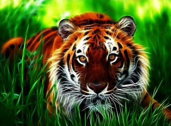 Картина по номерам 40x50 Большой тигр в зеленой траве