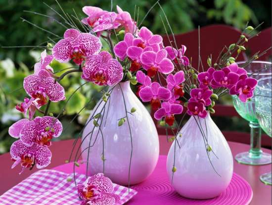 Картина по номерам 40x50 Белые вазочки с орхидеями