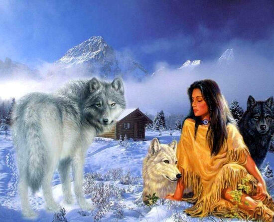 Картина по номерам 40x50 Девушка и большой серый волк
