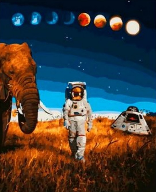 Картина по номерам 40x50 Космонавт и слон